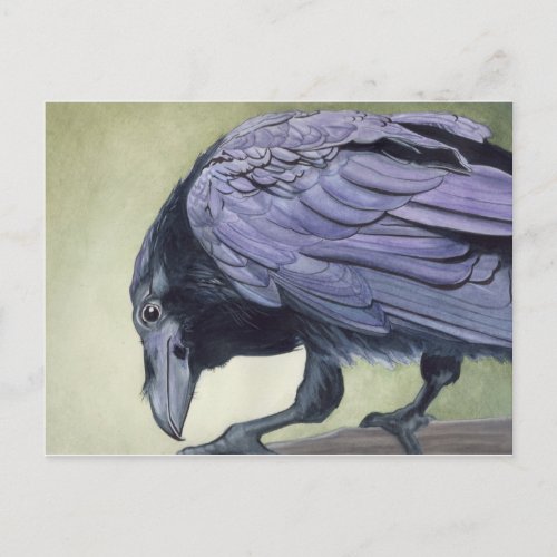 Watercolor Raven Postcard