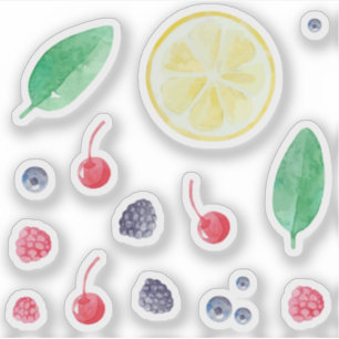 Watercolor red berries fruits set sticker