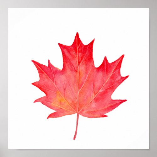 Watercolor Red Maple Leaf Poster