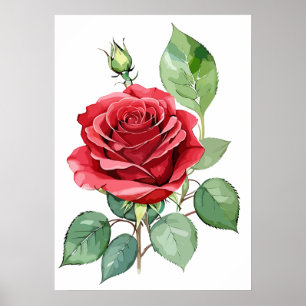 Watercolor Red Rose Modern Art Poster
