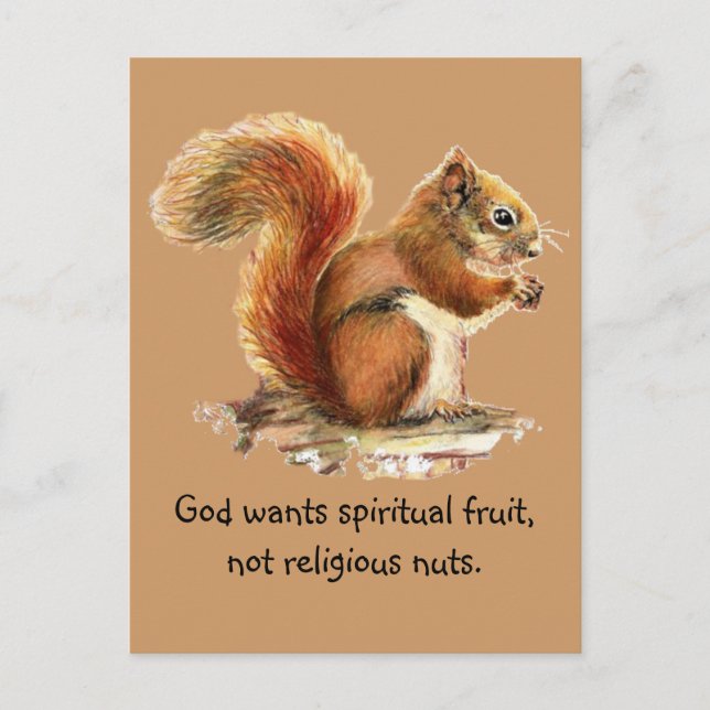 Watercolor Red Squirrel, Funny Quote Postcard (Front)