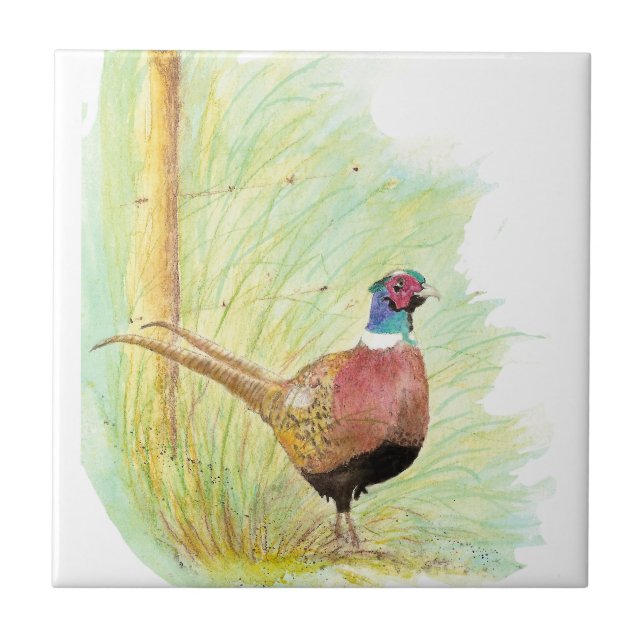 Watercolor Ring Necked Pheasant Bird Art Tile (Front)