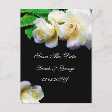 watercolor romantic white rose save the date announcement postcard