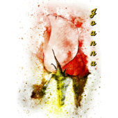 Watercolor Rose 2020 Monthly and Daily Planner (Front)