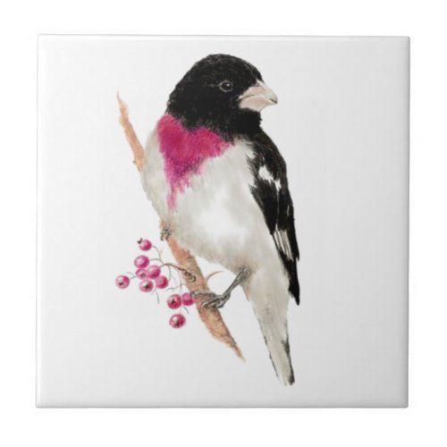 Watercolor Rose Breasted Grosbeak Bird Wildlife Tile