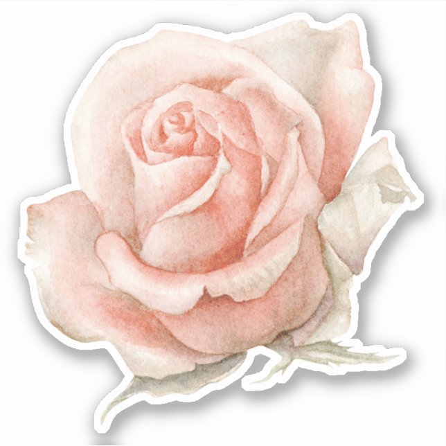 Watercolor Rose Flower Sticker (Front)