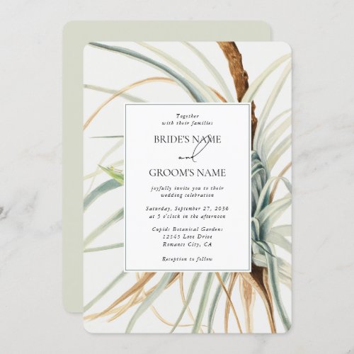 Watercolor Rustic Neutral Boho Botanical Wedding Invitation