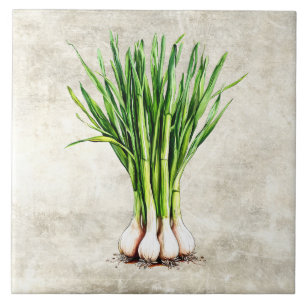 Watercolor Rustic Scallions Faux Texture Ceramic Tile
