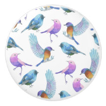 Watercolor Safari: Birds (Customize BG Color!)
