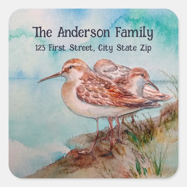 Watercolor Sandpiper Water Bird Nature Art Square Sticker (Front)