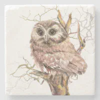 Watercolor Saw Whet Cute Little Owl Bird Nature Stone Coaster | Zazzle