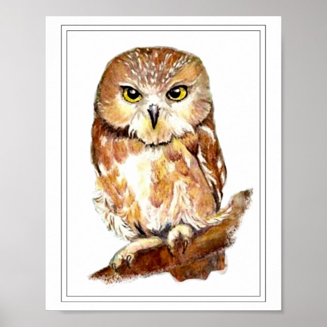 Watercolor Saw Whet Owl Poster (Front)