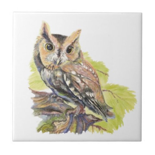 Watercolor Screech Owl Bird Wildlife Ceramic Tile