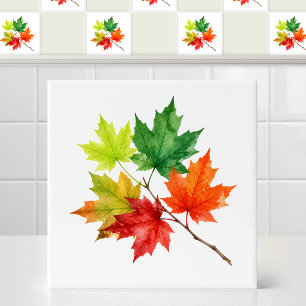 Watercolor Seasonal Mixed Canadian Maple Leaves Ceramic Tile