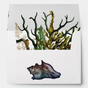 Watercolor Seaweed and Coral Beach Envelope