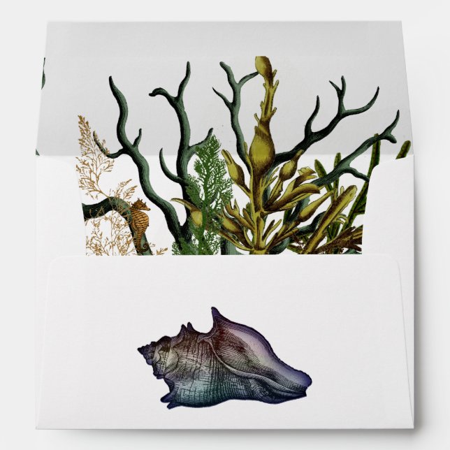 Watercolor Seaweed and Coral Beach Envelope (Back (Bottom))