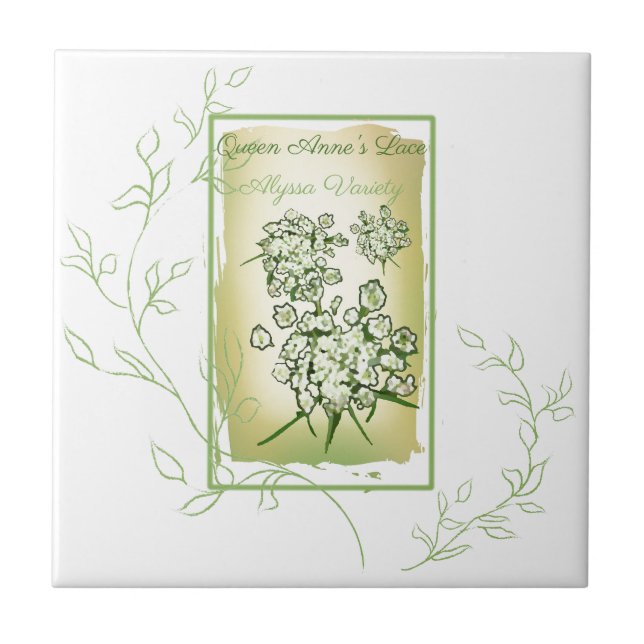 Watercolor Seed Packet Queen Anne's Lace Ceramic Tile (Front)