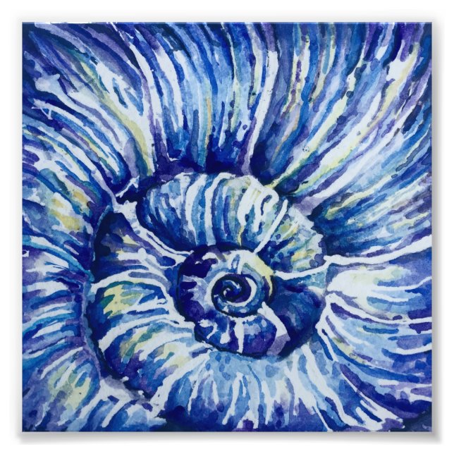 Watercolor Shell Photo Print (Front)