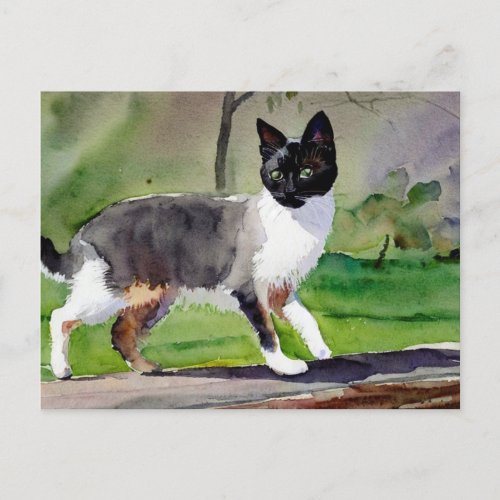 Watercolor Siamese Cat Wall Clock Postcard