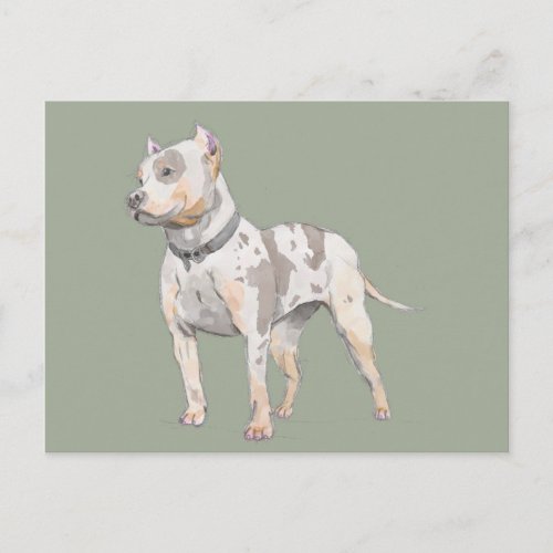 Watercolor Sketch  Cute Pit Bull Terrier Dog Postcard