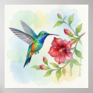 Watercolor Small Hummingbird Poster