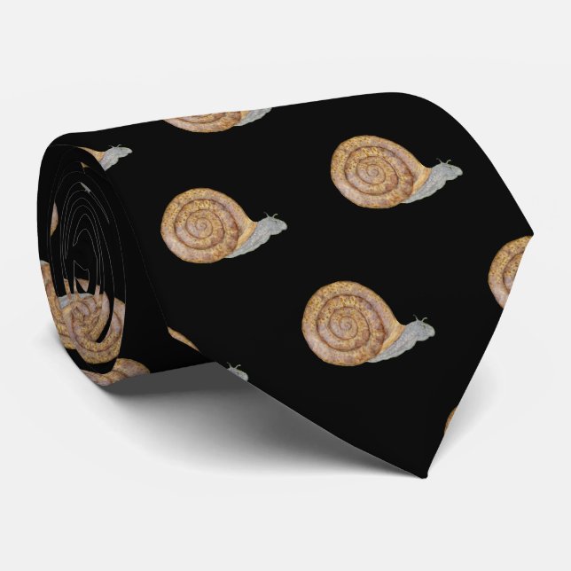 Watercolor Snail Neck Tie (Rolled)