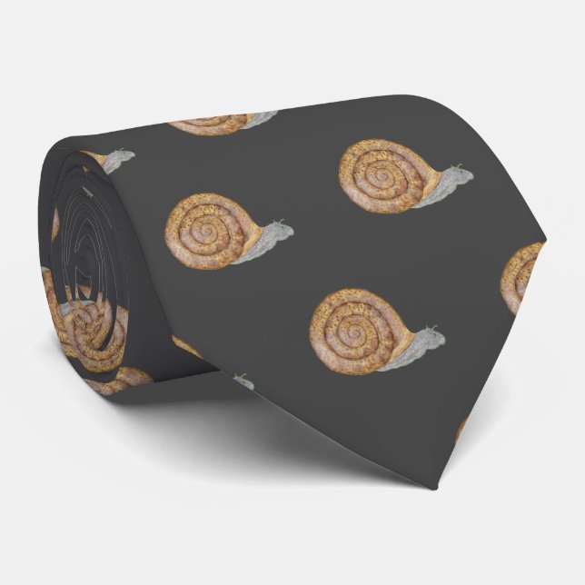 Watercolor Snail Neck Tie (Rolled)