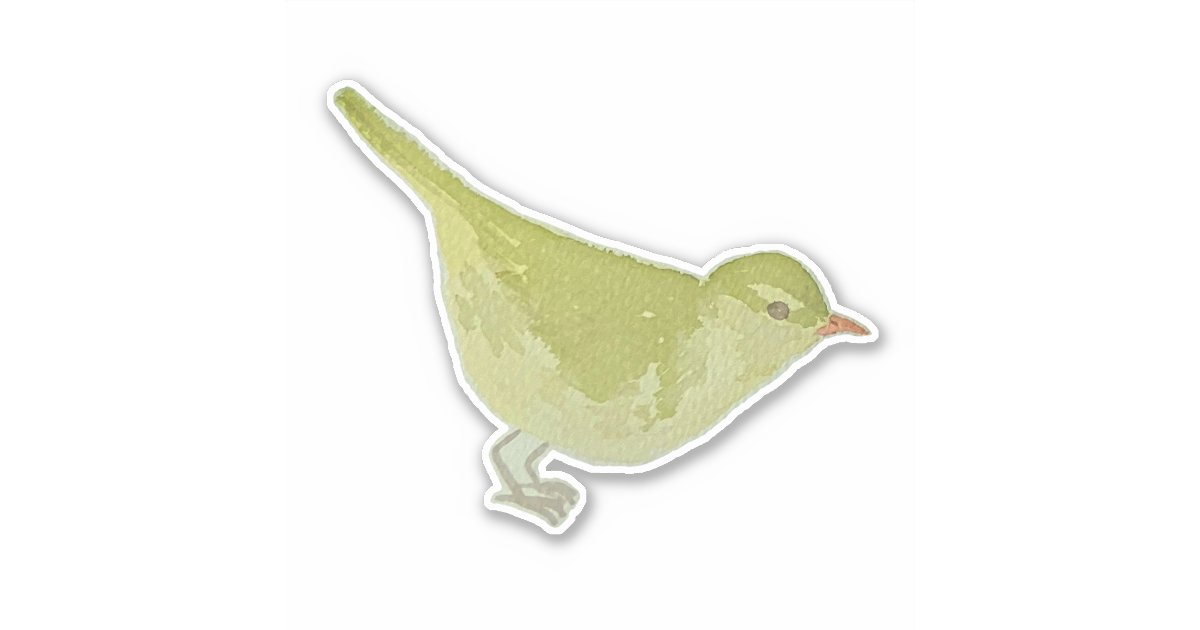 Watercolor Songbird Greenish Warbler Sticker | Zazzle