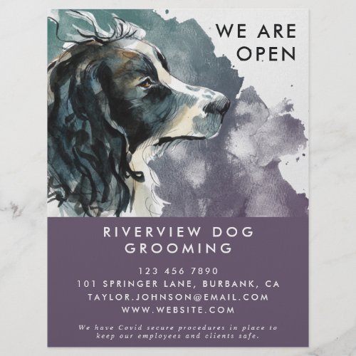 Watercolor Springer Spaniel Dog Grooming Reopening Flyer