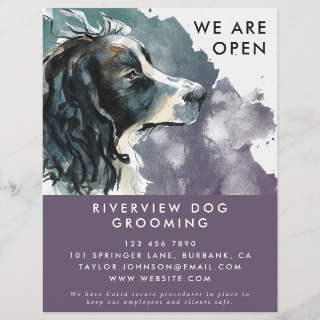 Watercolor Springer Spaniel Dog Grooming Reopening Flyer (Front)