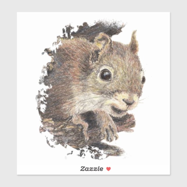Watercolor Squirrel Animal  Nature Art Sticker (Sheet)