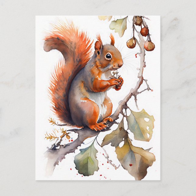 Watercolor Squirrel Eating Nuts Postcard (Front)