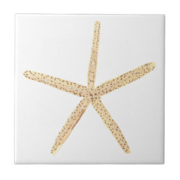 Watercolor Starfish Seashell Ceramic Tile