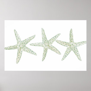 Watercolor Starfish Trio Poster