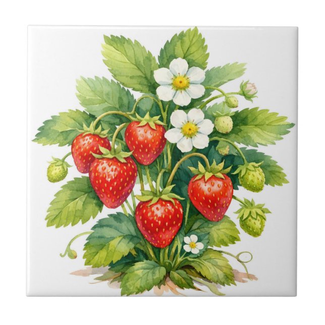 Watercolor Strawberries and Berry Blossom  Ceramic Tile (Front)