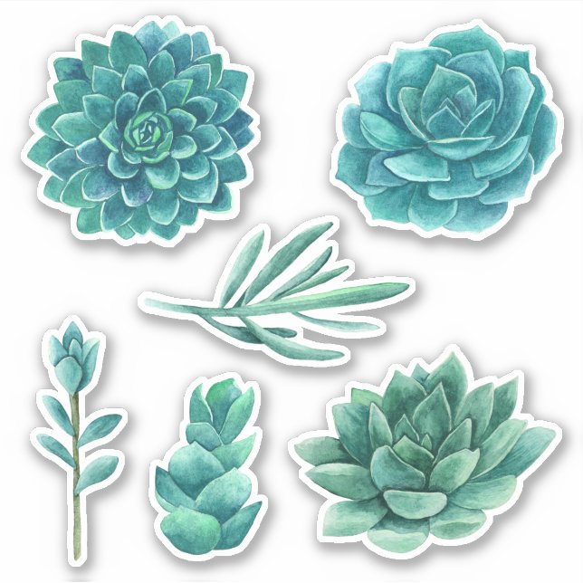 Watercolor succulents. Blue cactus. Teal cacti Sticker (Front)