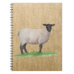 Watercolor Suffolk Sheep Notebook at Zazzle