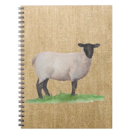 Watercolor Suffolk Sheep Notebook