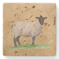 Watercolor Suffolk Sheep Stone Coaster