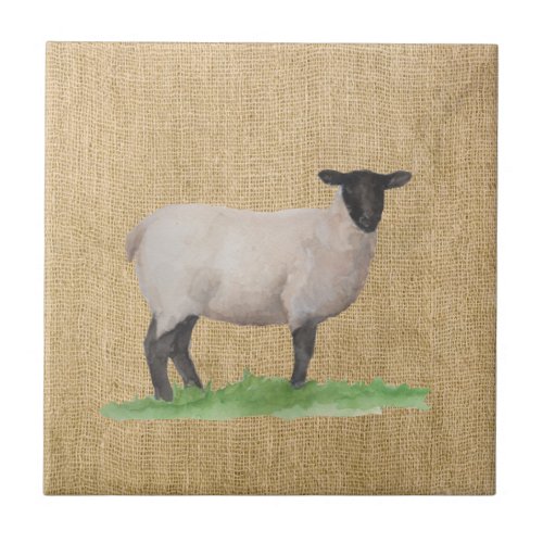 Watercolor Suffolk Sheep Tile