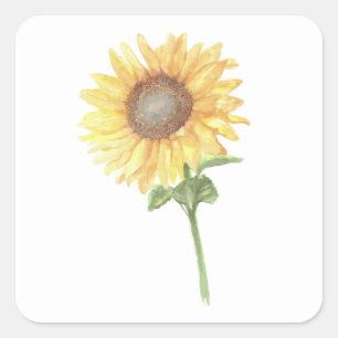 Watercolor Sunflower Square Sticker