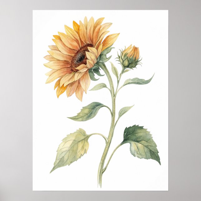 Watercolor Sunflower Wall Art Print (Front)