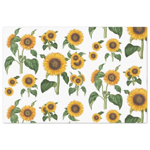 Watercolor Sunflowers Botanical Foliage Greenery Tissue Paper