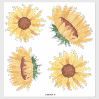 Watercolor Sunflowers Sticker | Zazzle