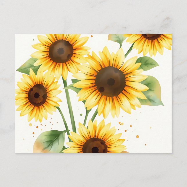 Watercolor Sunflowers with Cream Edges Postcard (Front)