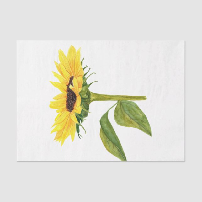 Watercolor Thanksgiving Series Design 8 Tissue Paper (Front)