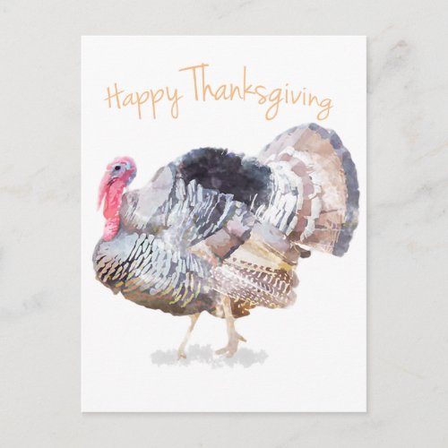 Watercolor Thanksgiving Turkey Holiday Postcard