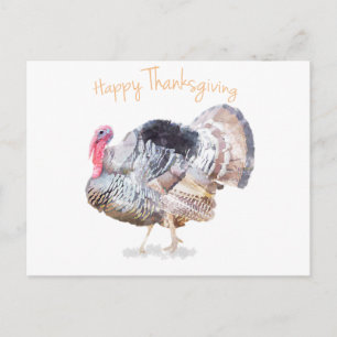 Watercolor Thanksgiving Turkey Postcard