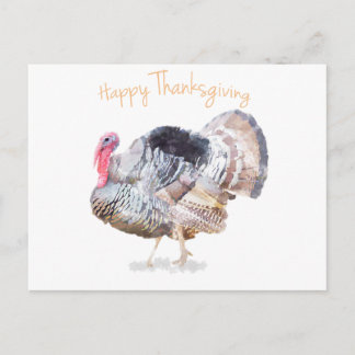 Watercolor Thanksgiving Turkey Postcard