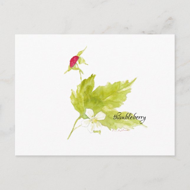 watercolor thimbleberry postcard (Front)